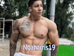 Noaharris19