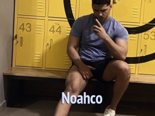 noahco Tube video gay