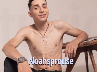 Noahsprouse