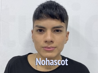 nohascot Tube video gay