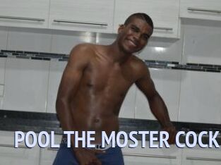 POOL_THE_MOSTER_COCK