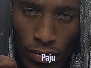 Paju