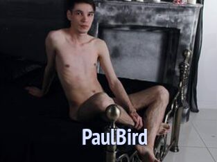 PaulBird