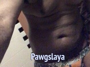 Pawgslaya