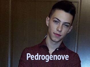 Pedrogenove