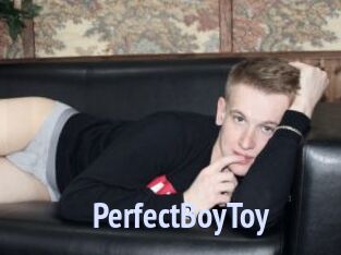PerfectBoyToy