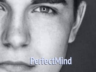 PerfectMind
