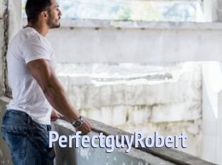 PerfectguyRobert
