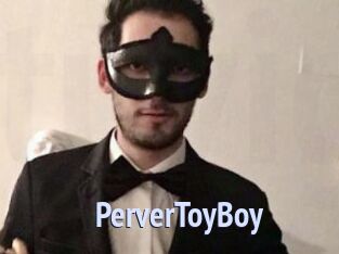 PerverToyBoy