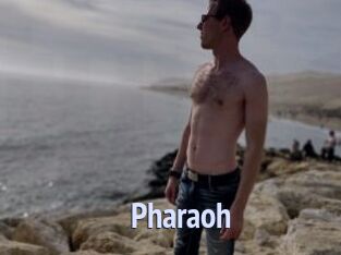 Pharaoh