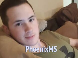 PhoenixMS