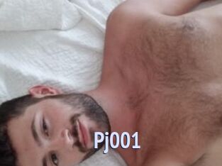 Pj001