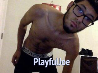 PlayfulJoe