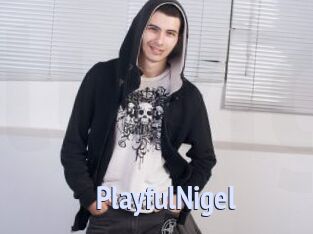PlayfulNigel