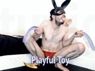 Playful_Toy