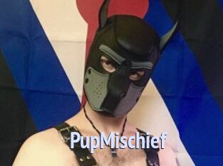 PupMischief