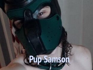 Pup_Samson