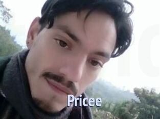 _Pricee_ Tube video gay