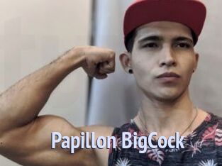 Papillon_BigCock
