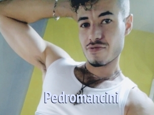 Pedromancini