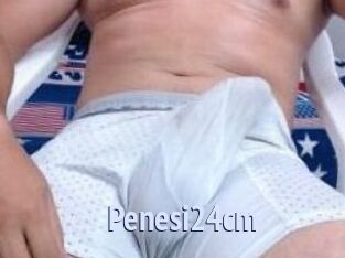 Penesi24cm