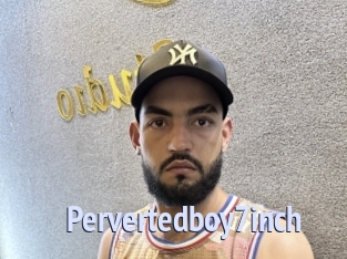 Pervertedboy7inch