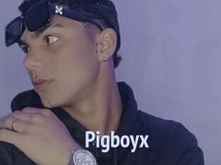 Pigboyx