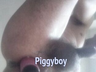 Piggyboy