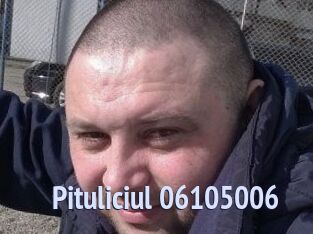 Pituliciul-06105006