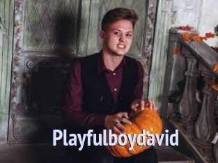 Playfulboydavid
