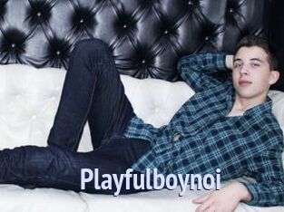 Playfulboynoi