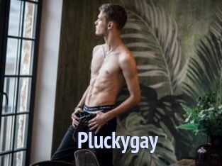Pluckygay