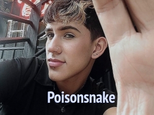 Poisonsnake