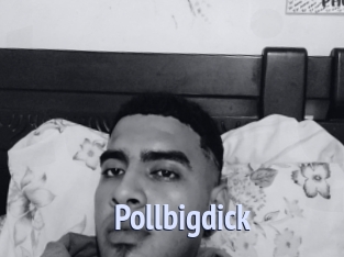 Pollbigdick