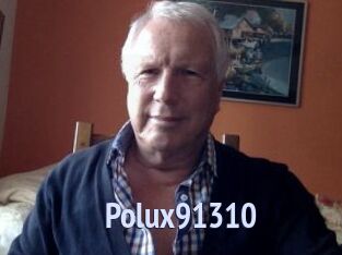 Polux91310