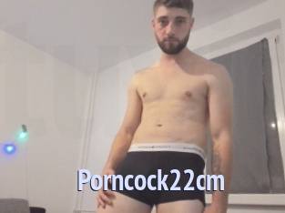 Porncock22cm