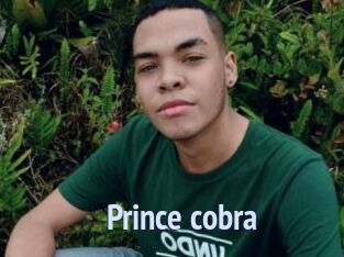 Prince_cobra