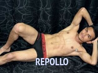 REPOLLO