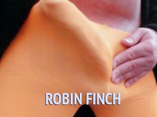 ROBIN_FINCH