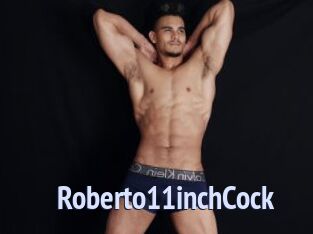 Roberto11inchCock Tube video gay