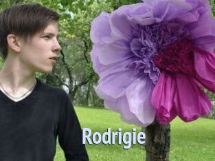 Rodrigie