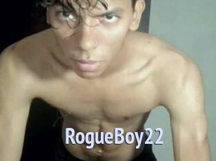 RogueBoy22