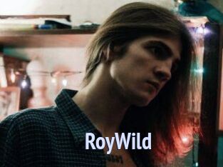 RoyWild