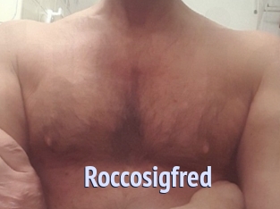 Roccosigfred