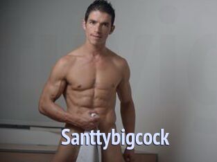 Santtybigcock