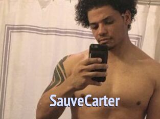 Sauve_Carter Tube video gay
