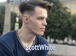 ScottWhite Tube video gay