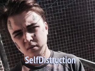 SelfDistruction