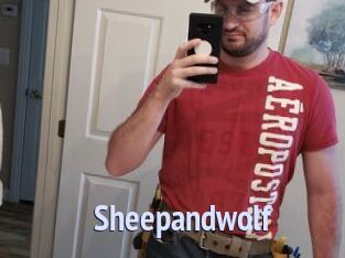 Sheepandwolf