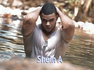Shein_A